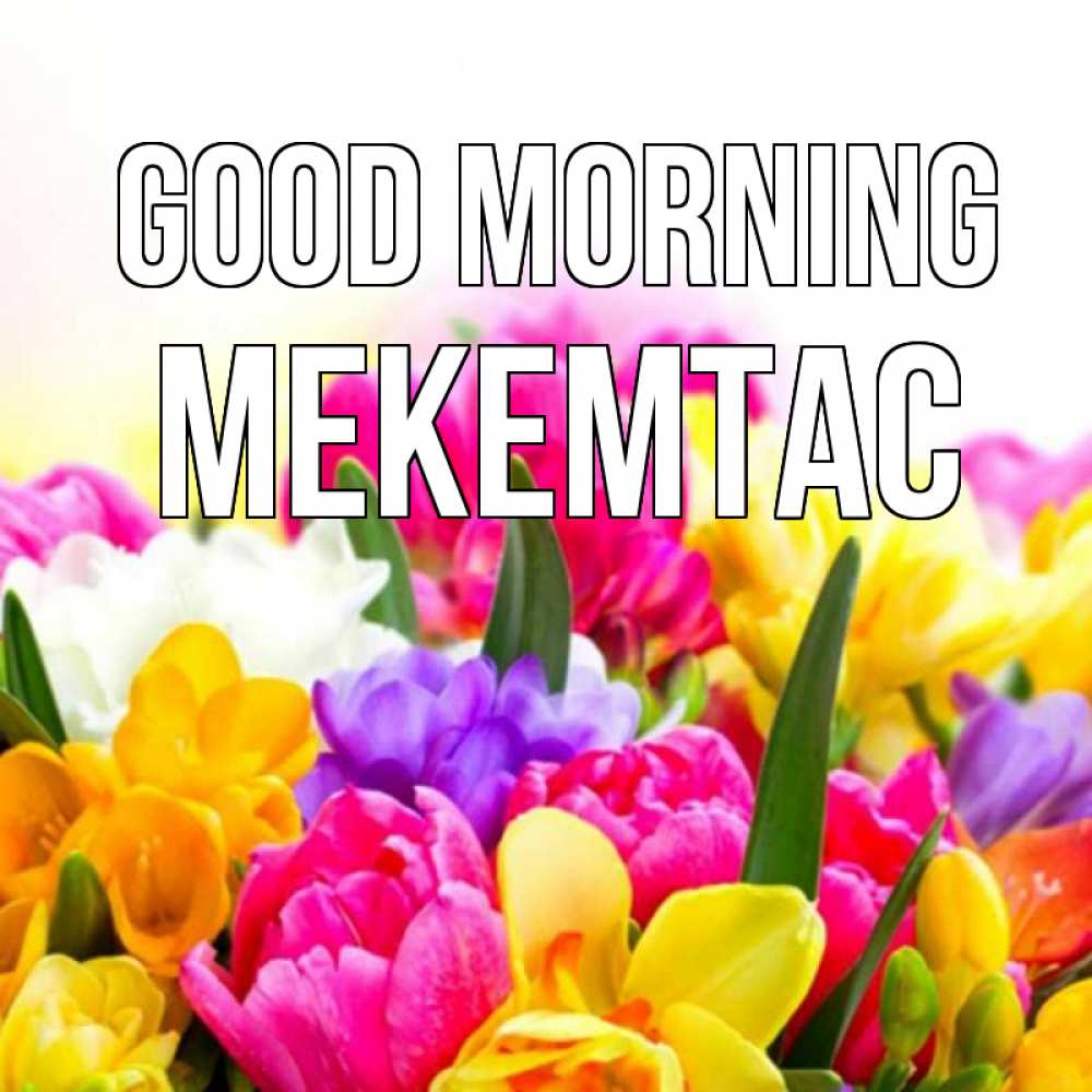 Greetings card с именем, МЕКЕМТАС Good morning создать открытку со свое подписью Greetings with text for free download 