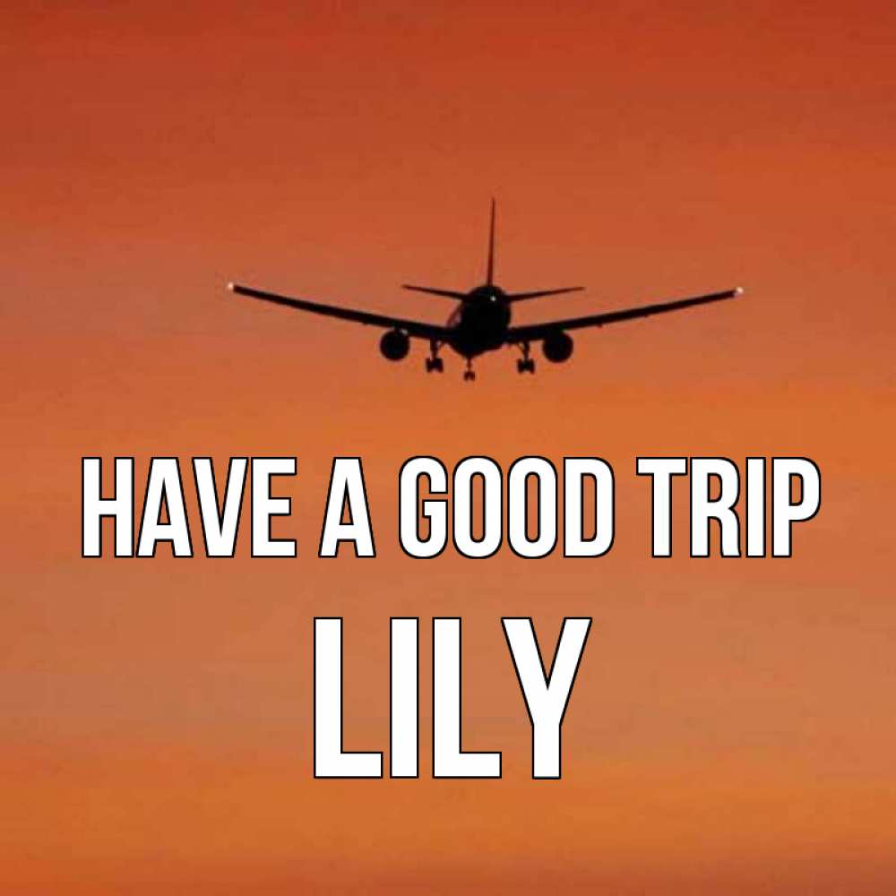 Greetings card с именем, Lily Have a good trip силуэт самолета Greetings with text for free download 