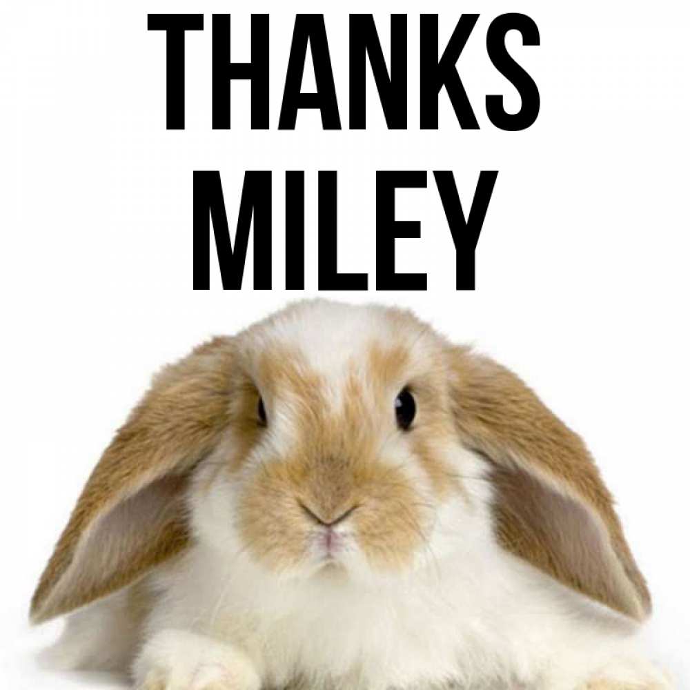 Greetings card с именем, Miley Thanks коричнево белый заяц Greetings with text for free download 