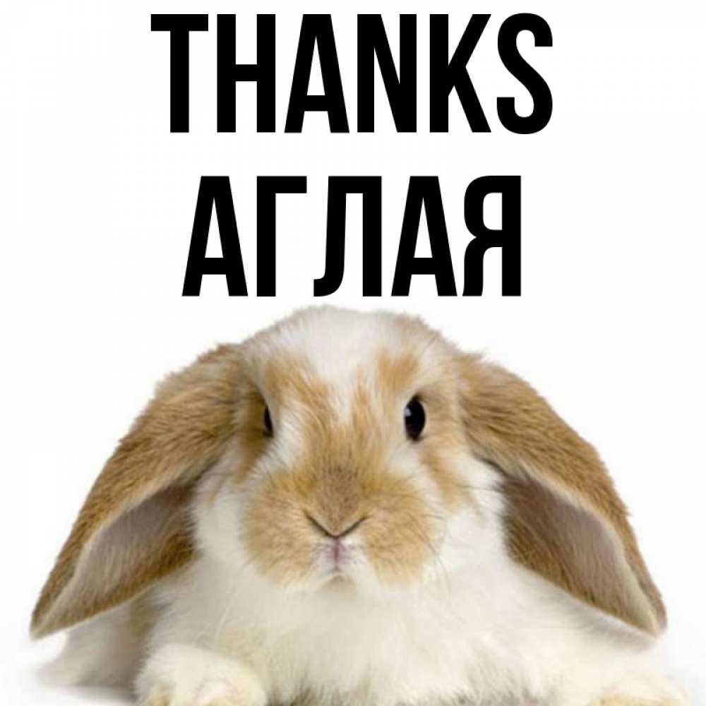 Greetings card с именем, Аглая Thanks коричнево белый заяц Greetings with text for free download 
