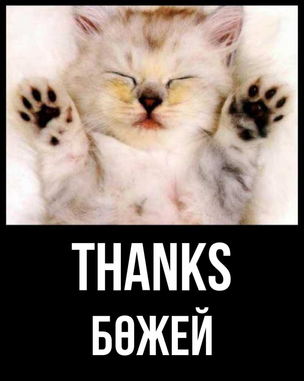 Greetings card с именем, Бөжей Thanks маленький котенок Greetings with text for free download 