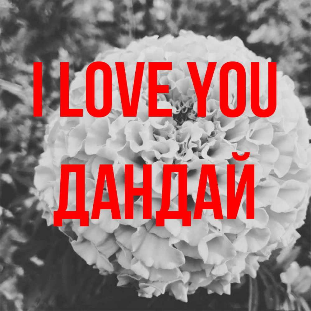 Greetings card с именем, Дандай I love you подпись Greetings with text for free download 