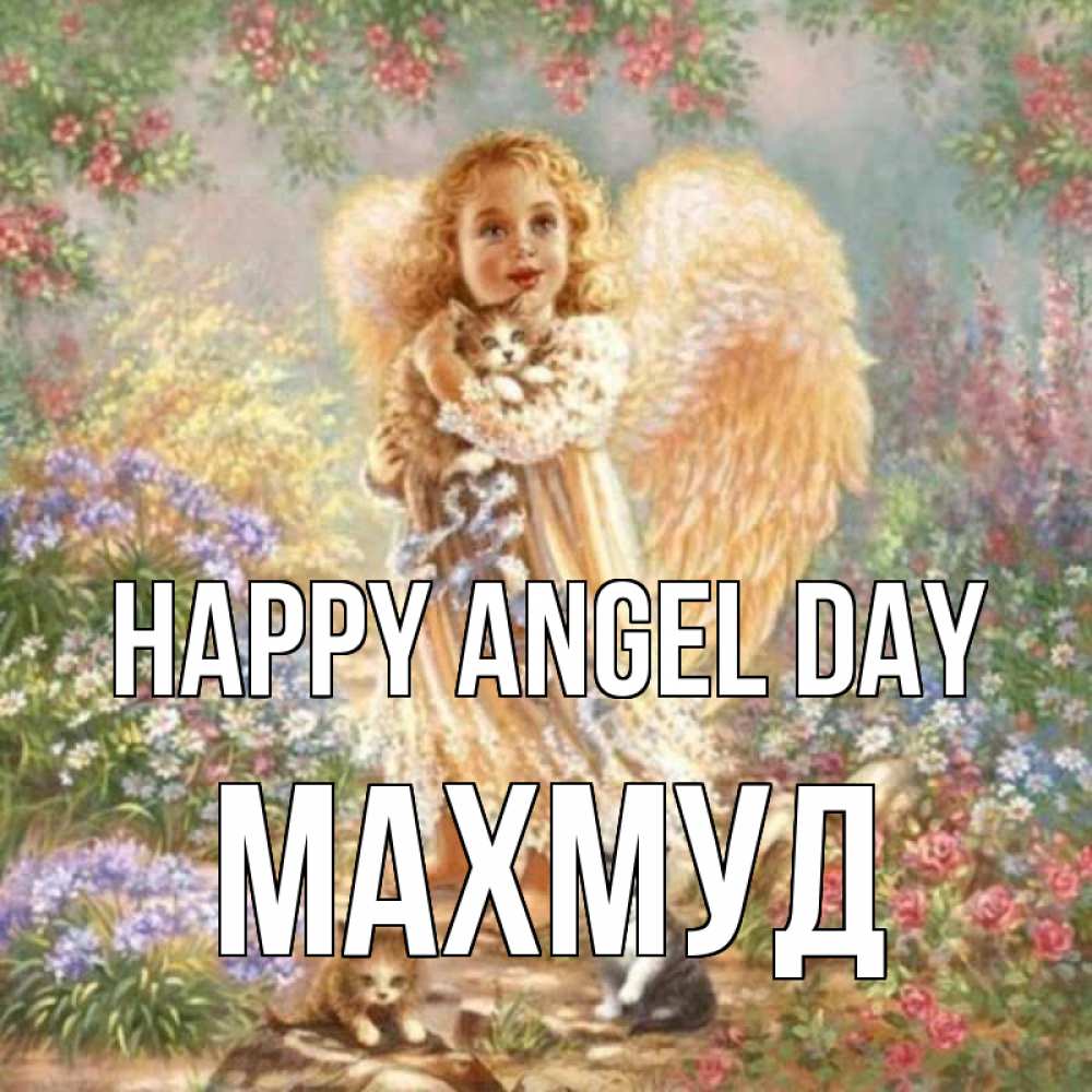 Greetings card с именем, Махмуд happy angel day держит котенка Greetings with text for free download 