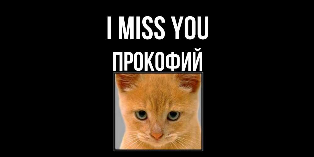 Greetings card с именем, Прокофий I miss you открытки рыжий котенок скучает по тебе Greetings with text for free download 