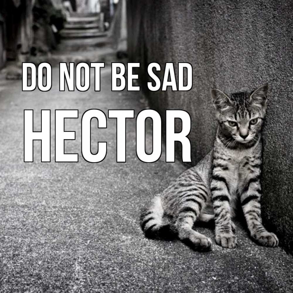 Greetings card с именем, Hector Do not be sad скучающий котик Greetings with text for free download 