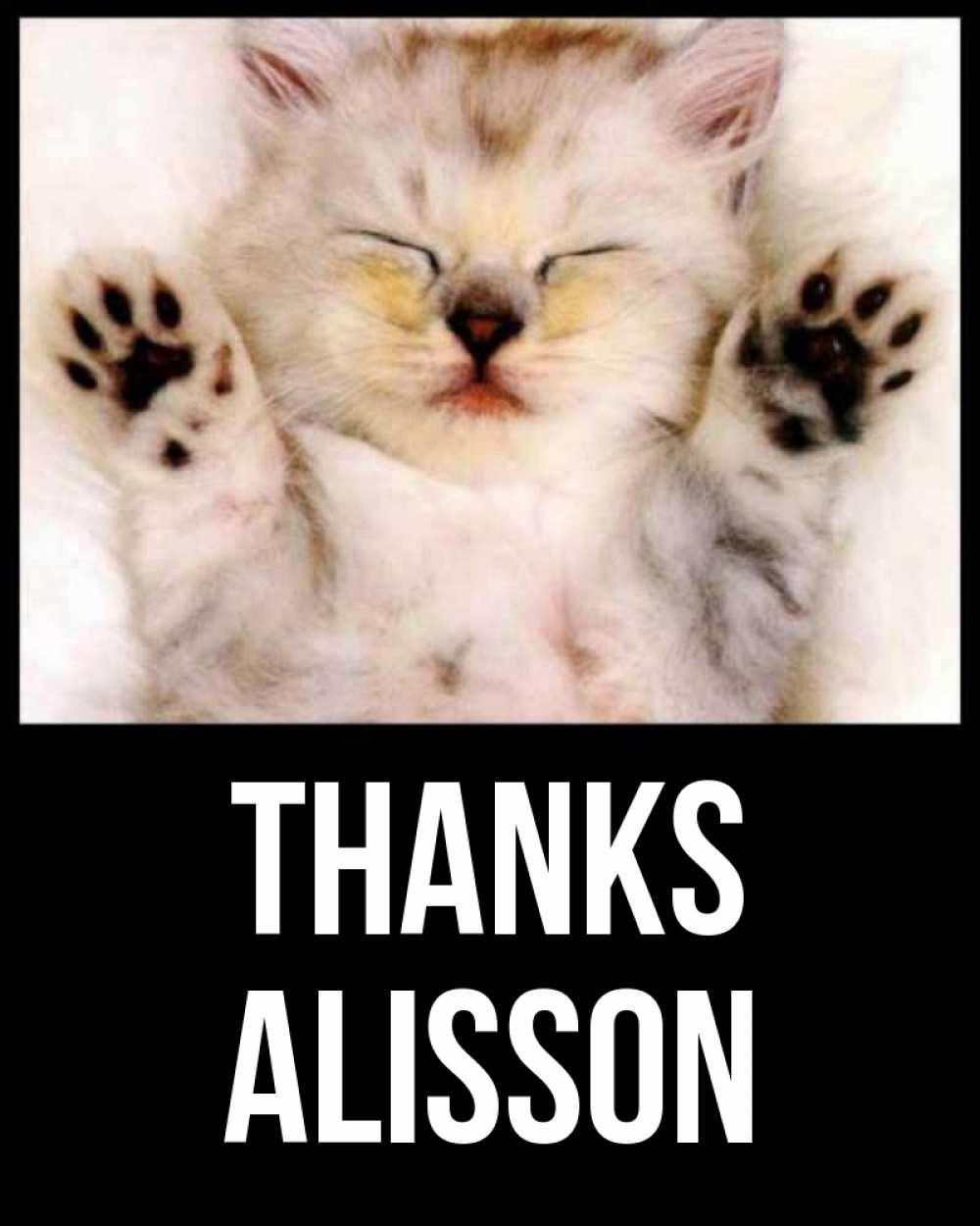 Greetings card с именем, Alisson Thanks маленький котенок Greetings with text for free download 