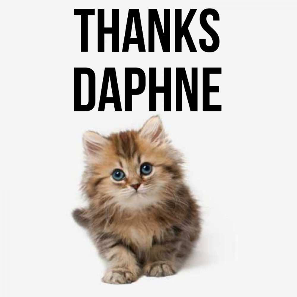 Greetings card с именем, Daphne Thanks пушистый котик Greetings with text for free download 