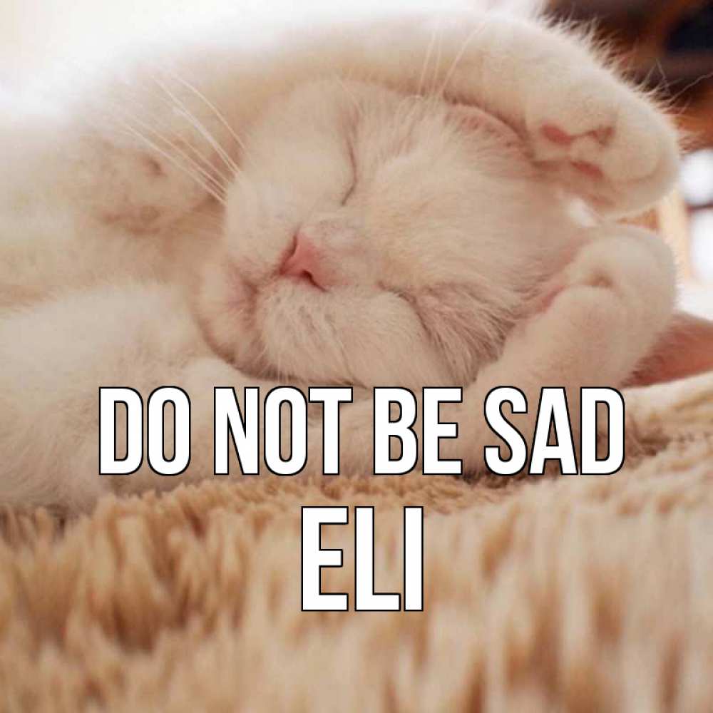 Greetings card с именем, Eli Do not be sad белый кот Greetings with text for free download 