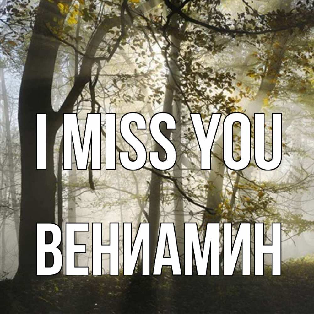 Greetings card с именем, Вениамин I miss you грустно Greetings with text for free download 