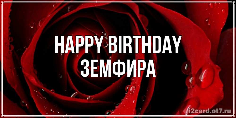 Greetings card с именем, ЗЕМФИРА Happy Birthday крупная бордовая роза Greetings with text for free download 