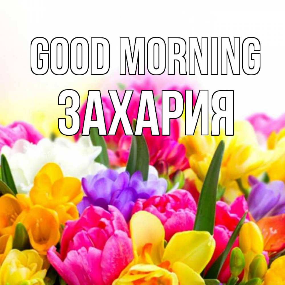 Greetings card с именем, Захария Good morning создать открытку со свое подписью Greetings with text for free download 