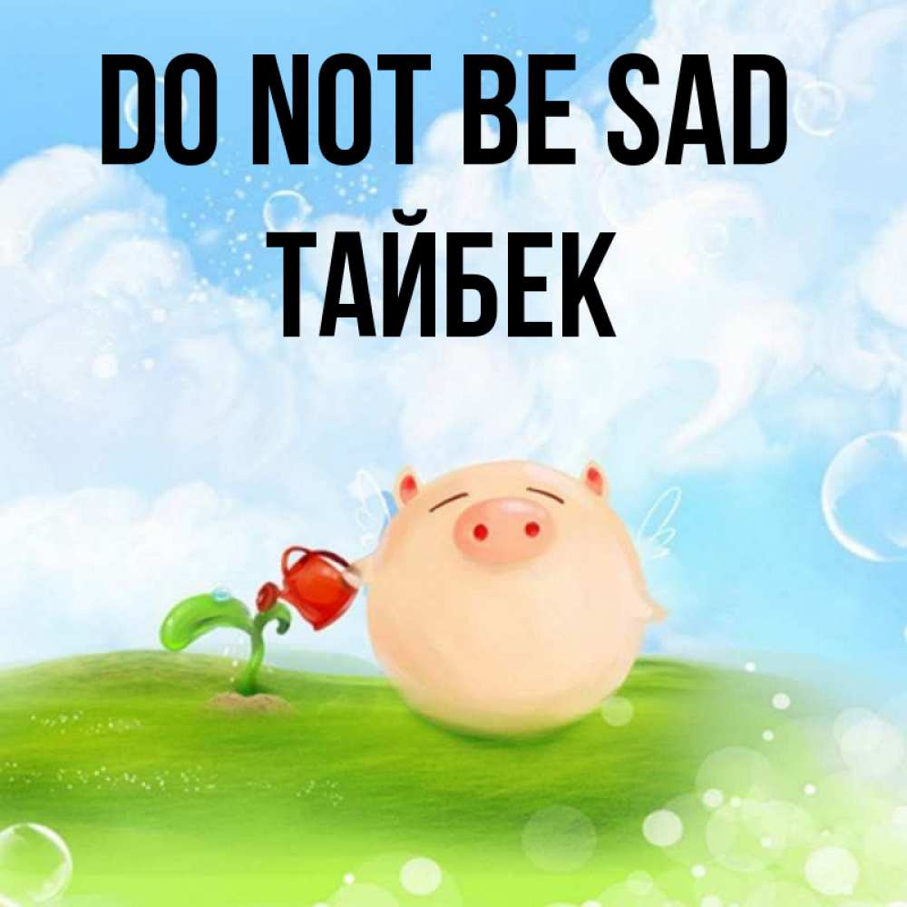 Greetings card с именем, ТАЙБЕК Do not be sad поливает цветок порося Greetings with text for free download 
