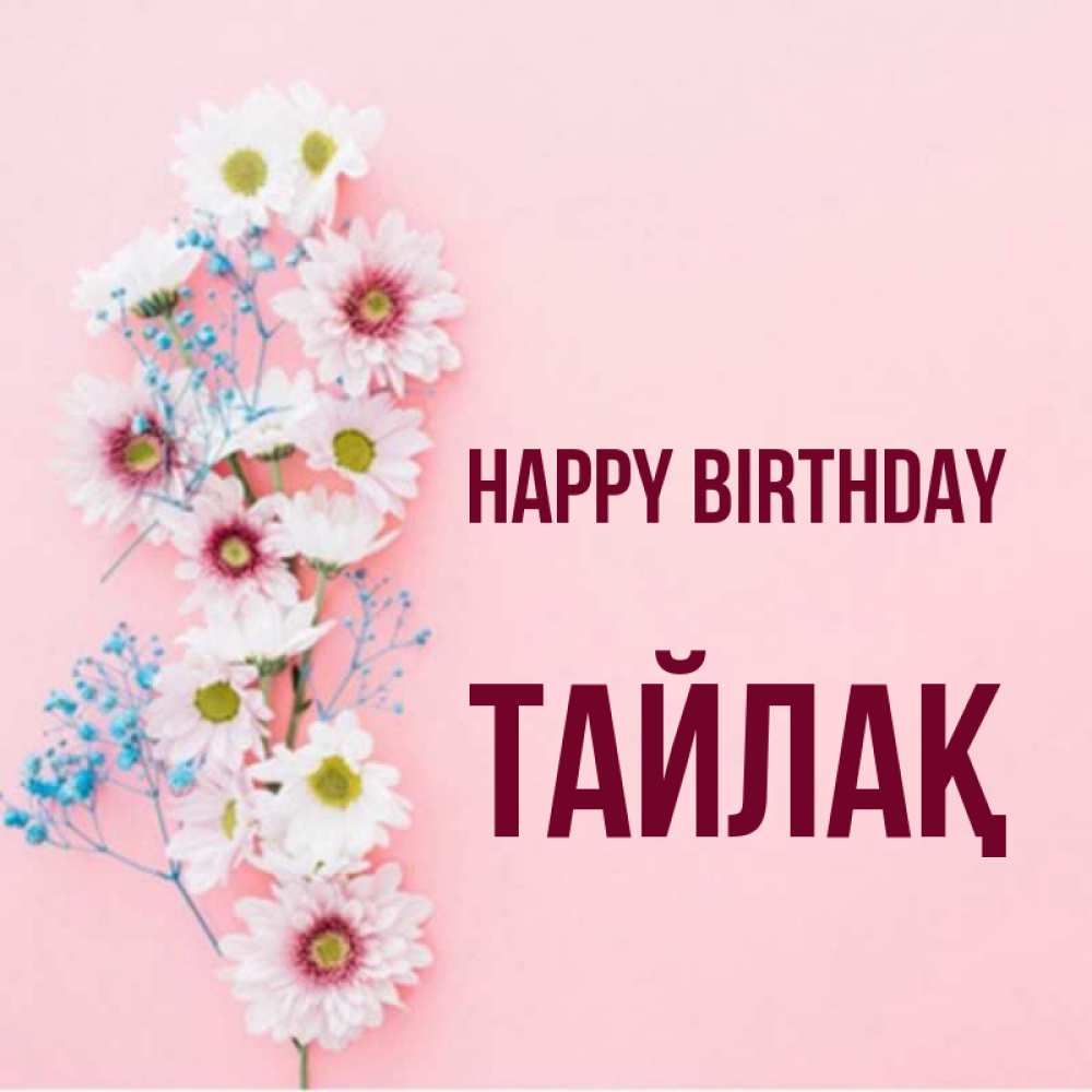 Greetings card с именем, ТАЙЛАҚ Happy Birthday Родная моя с днем рождения тебя картинка с цветами белыми и голубыми Greetings with text for free download 