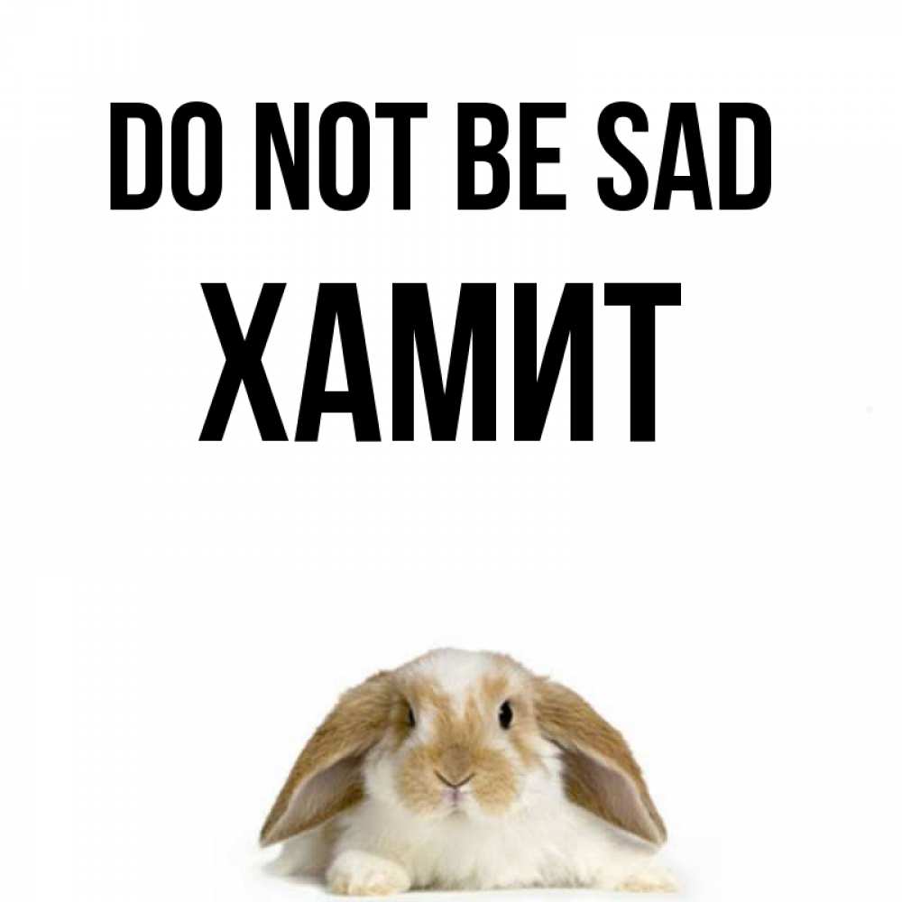 Greetings card с именем, ХАМИТ Do not be sad коричнево белый заяц с большими ушками Greetings with text for free download 