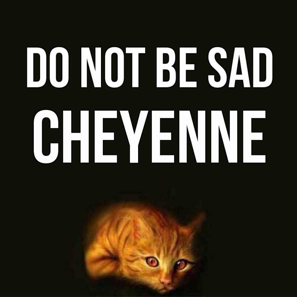 Greetings card с именем, Cheyenne Do not be sad лежащий кот в темноте Greetings with text for free download 