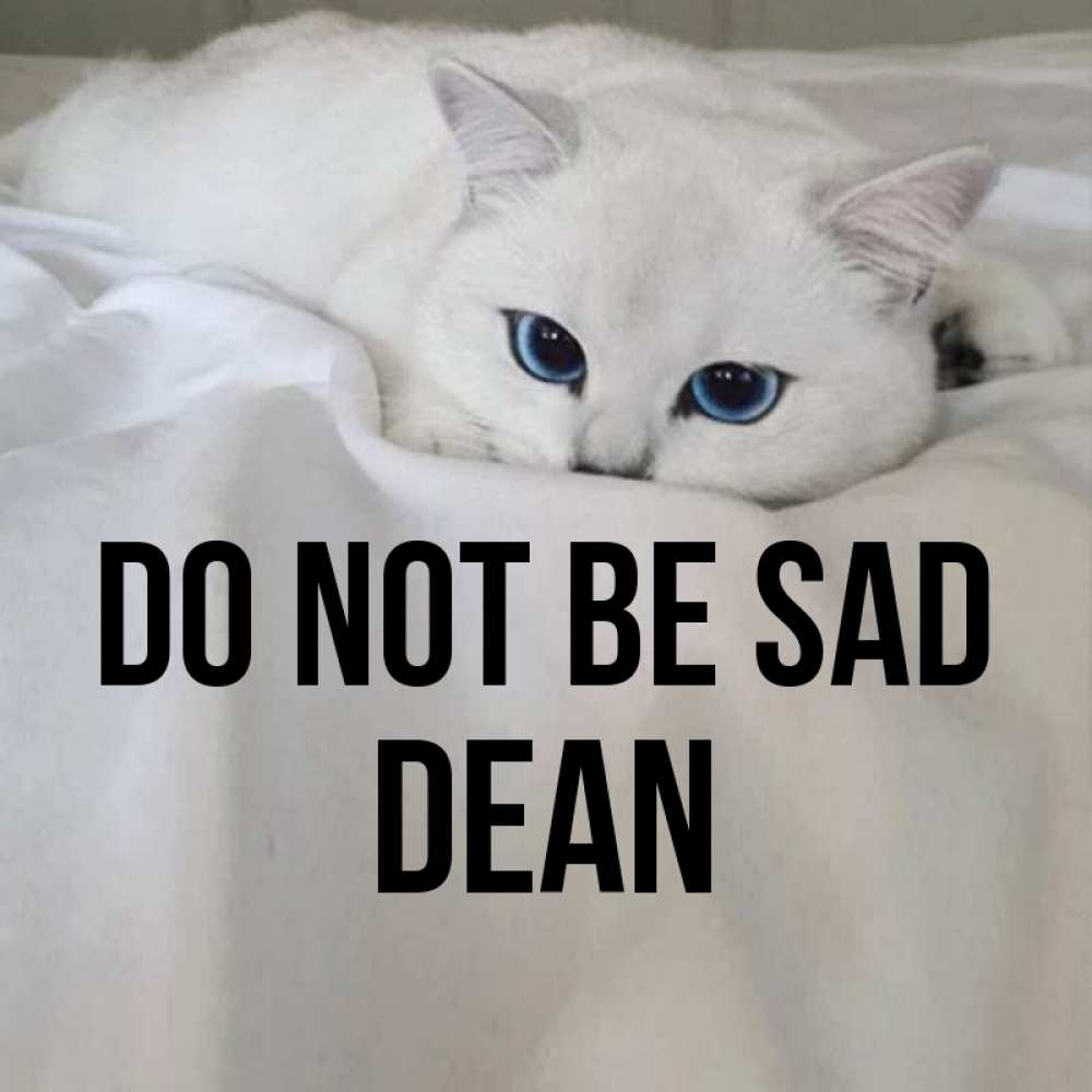 Greetings card с именем, Dean Do not be sad Голубоглазая кошка Greetings with text for free download 