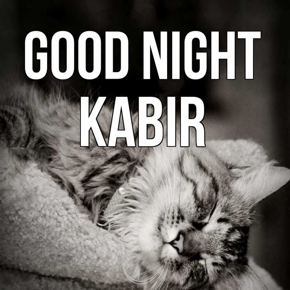 Greetings card с именем, Kabir Good night котярик пушистый Greetings with text for free download 