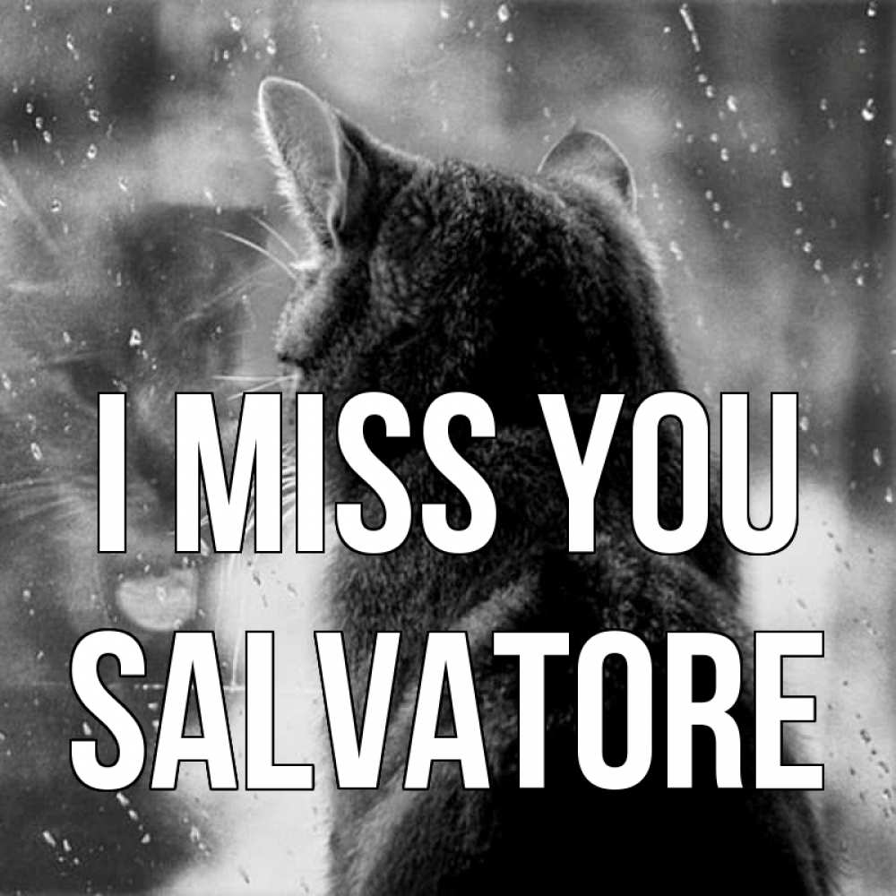 Greetings card с именем, Salvatore I miss you скорее ко мне приходи 1 Greetings with text for free download 
