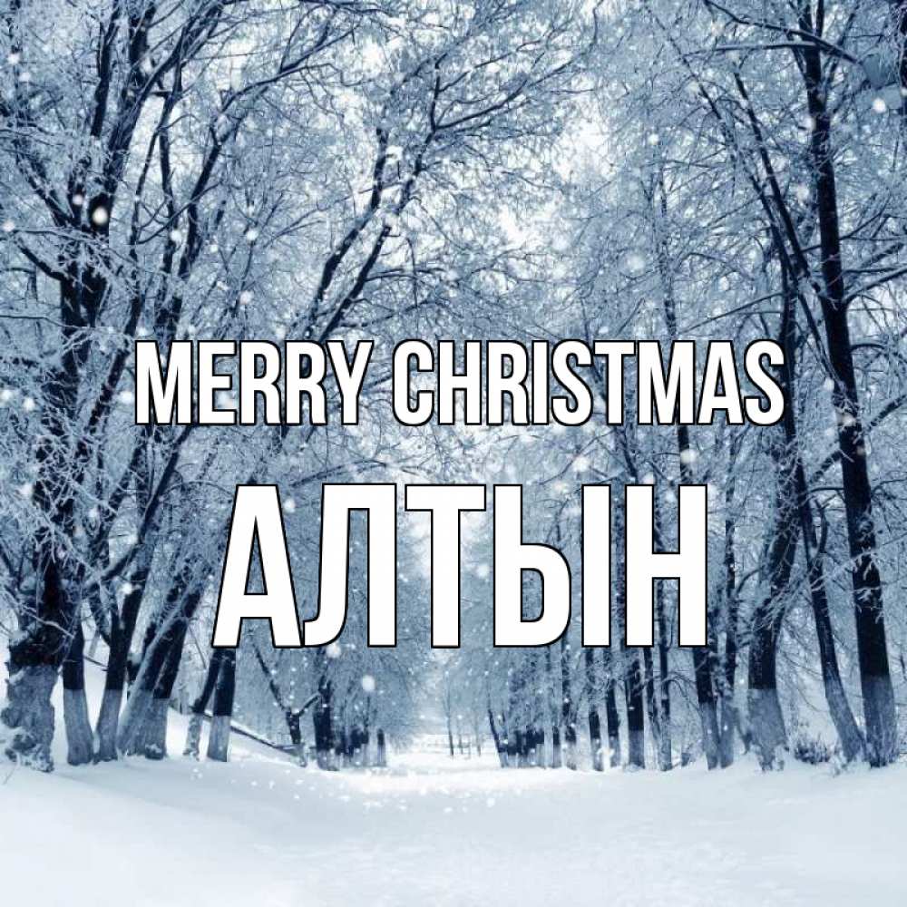 Greetings card с именем, АЛТЫН Merry Christmas снег, лес, парк Greetings with text for free download 