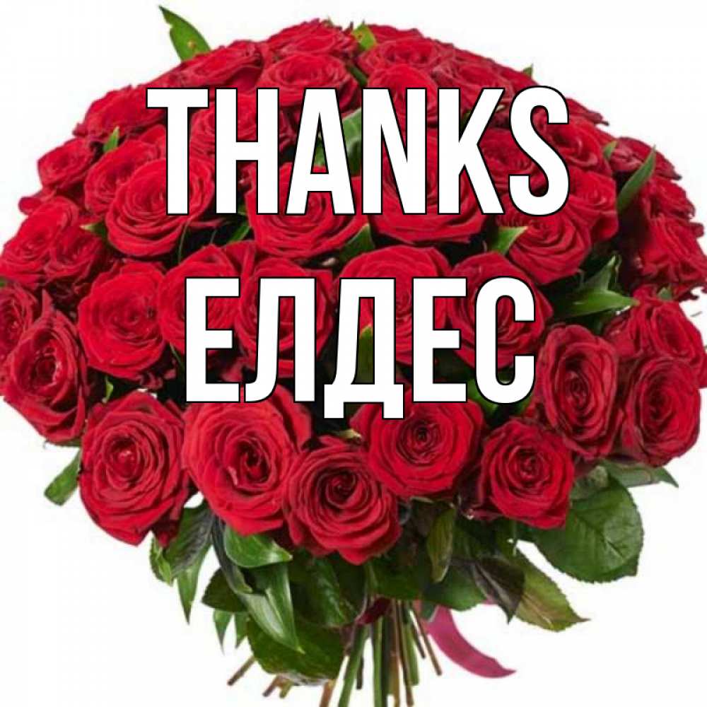 Greetings card с именем, Елдес Thanks букет красных роз Greetings with text for free download 