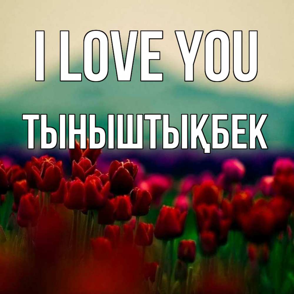 Greetings card с именем, ТЫНЫШТЫҚБЕК I love you тюльпаны 4 Greetings with text for free download 