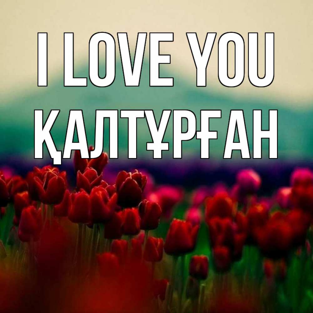 Greetings card с именем, ҚАЛТҰРҒАН I love you тюльпаны 4 Greetings with text for free download 
