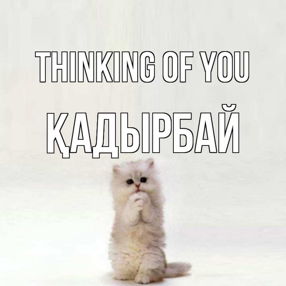 Greetings card с именем, Қадырбай Thinking of you кот стоит на задних лапах Greetings with text for free download 
