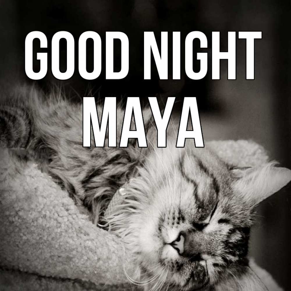 Greetings card с именем, Maya Good night котярик пушистый Greetings with text for free download 