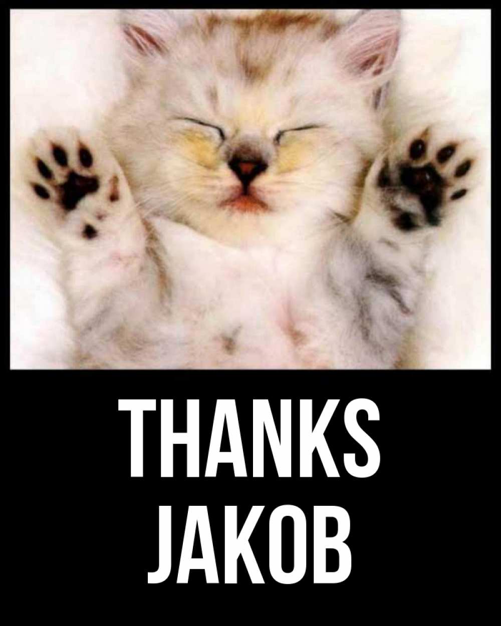 Greetings card с именем, Jakob Thanks маленький котенок Greetings with text for free download 