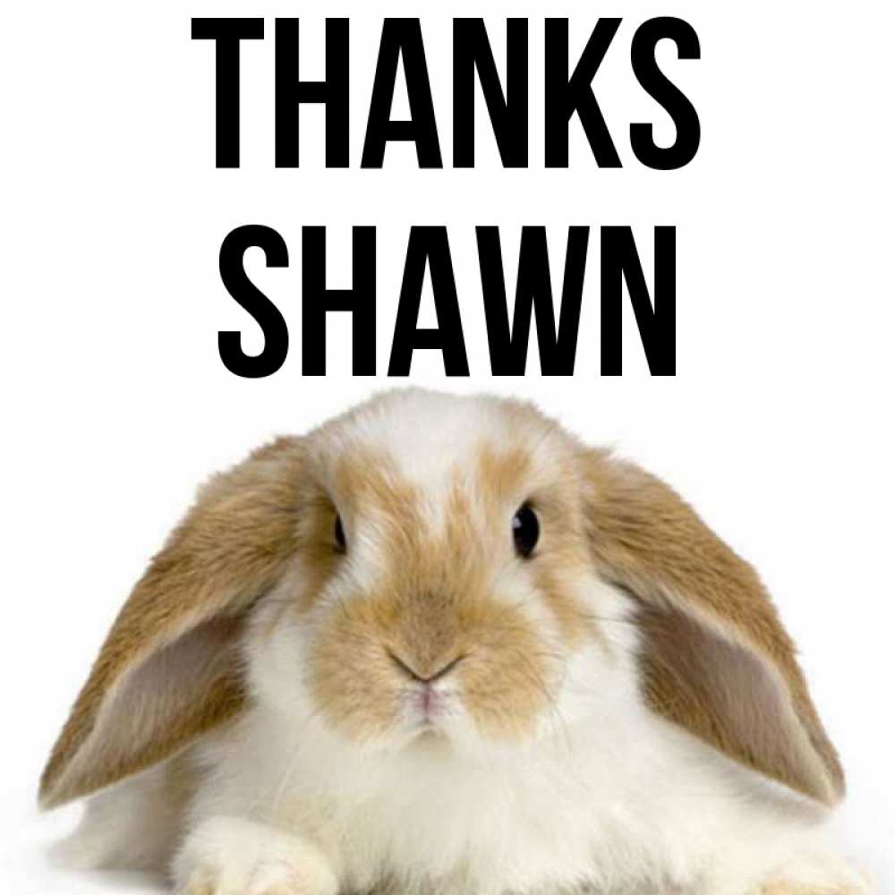 Greetings card с именем, Shawn Thanks коричнево белый заяц Greetings with text for free download 