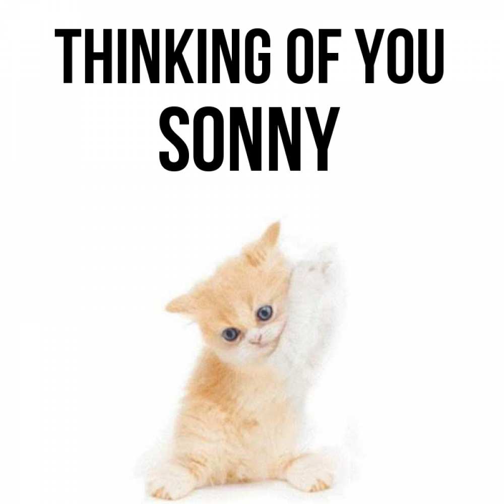 Greetings card с именем, Sonny Thinking of you зверушки и милота Greetings with text for free download 