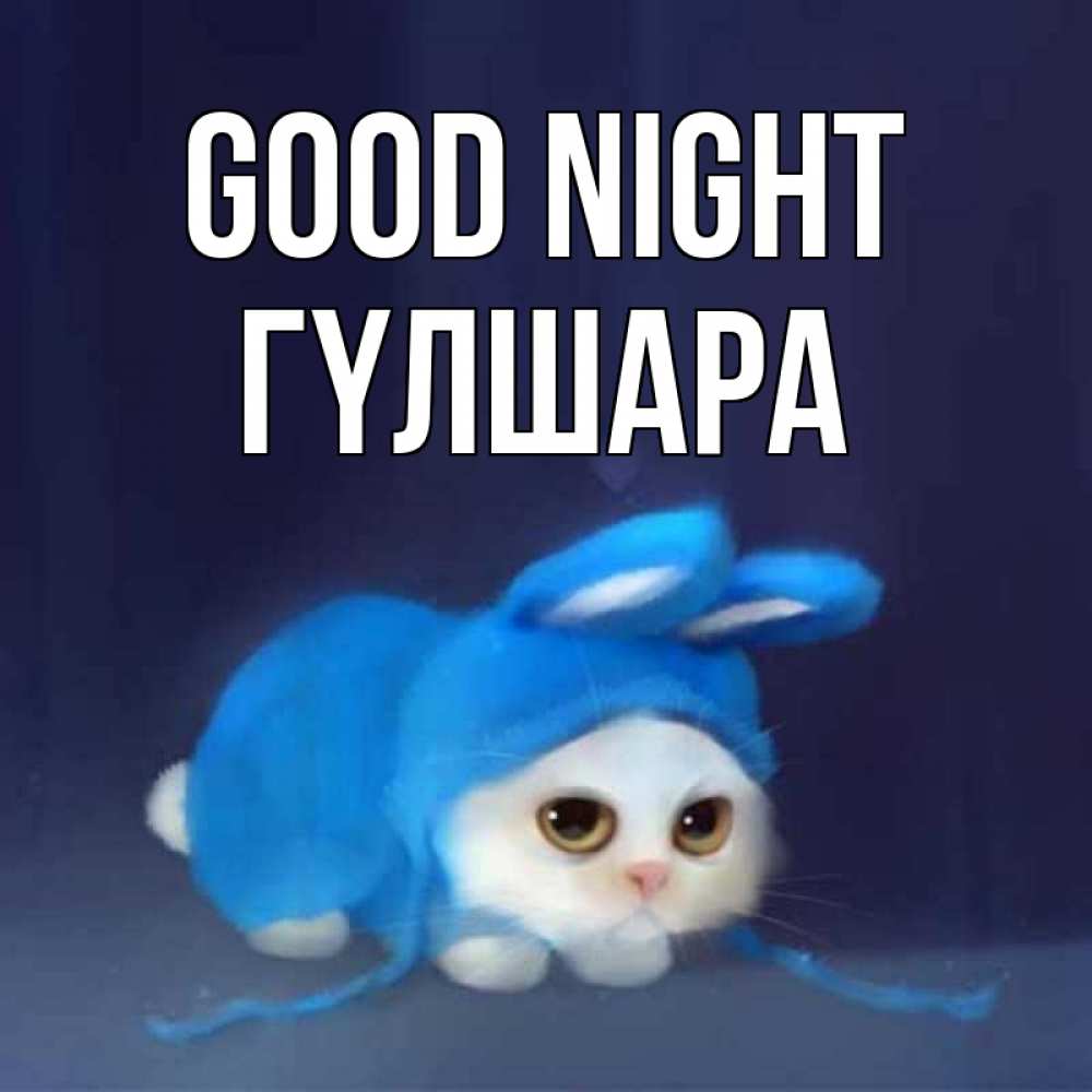 Greetings card с именем, ГҮЛШАРА Good night кот в голубом костюме кролика с ушками Greetings with text for free download 