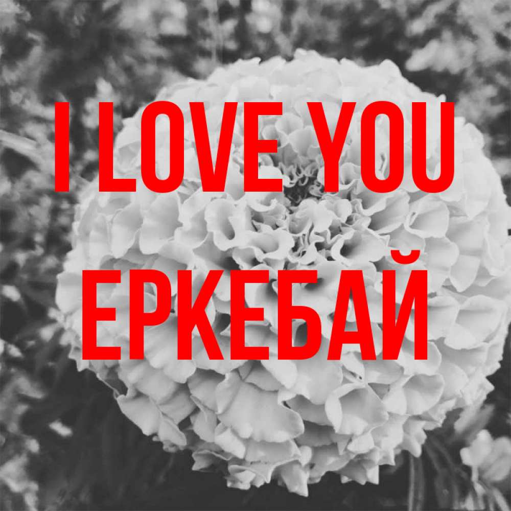Greetings card с именем, Еркебай I love you подпись Greetings with text for free download 