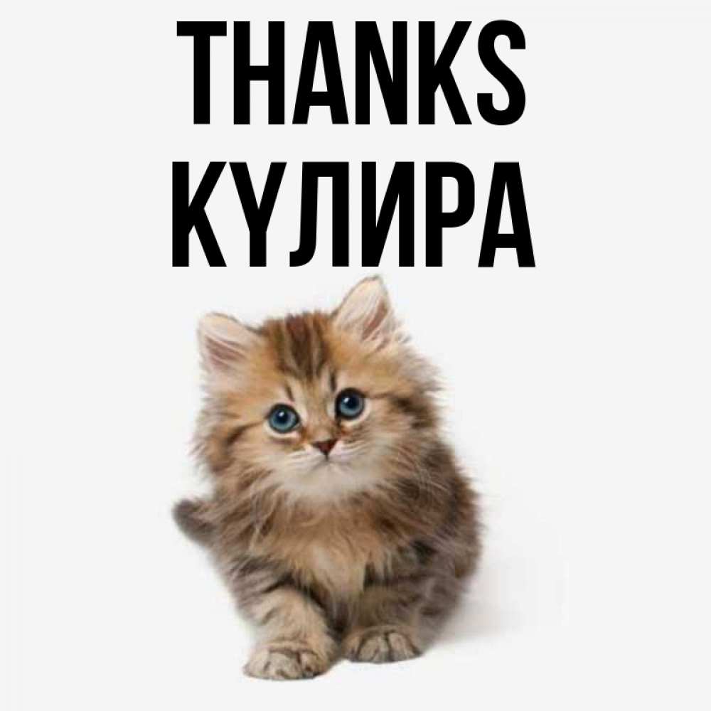 Greetings card с именем, КҮЛИРА Thanks пушистый котик Greetings with text for free download 