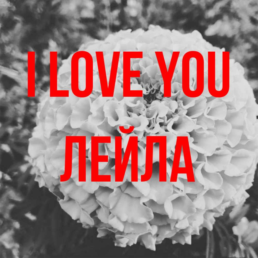 Greetings card с именем, Лейла I love you подпись Greetings with text for free download 