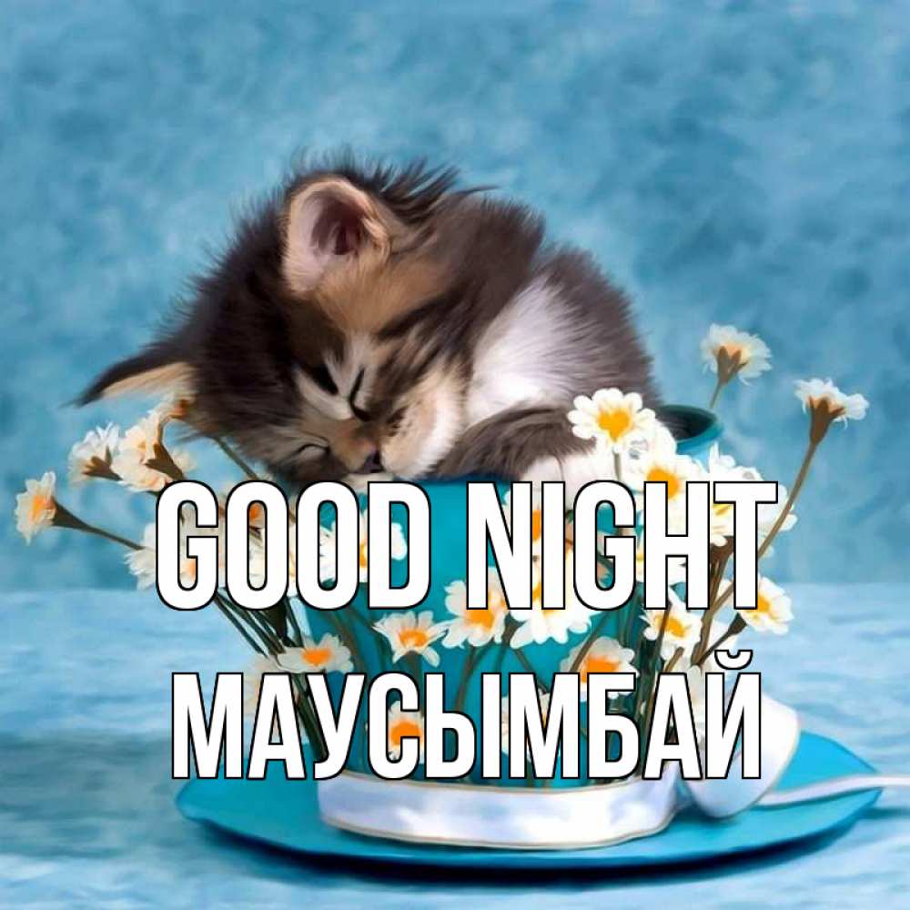 Greetings card с именем, МАУСЫМБАЙ Good night котенок спит в кружке с блюдцем Greetings with text for free download 