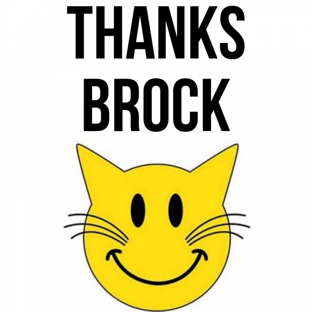 Greetings card с именем, Brock Thanks улыбающийся смайл кот Greetings with text for free download 