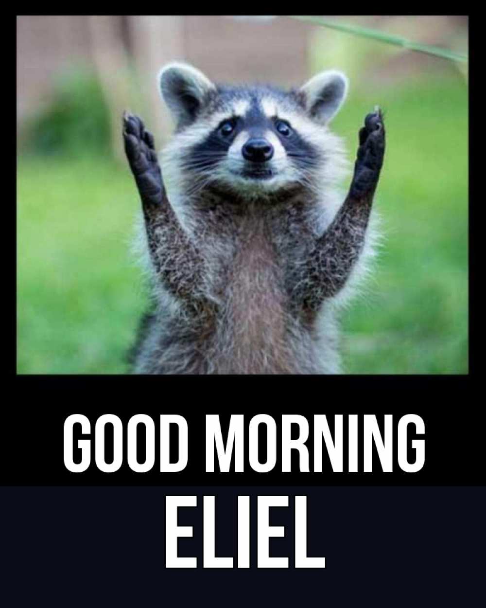 Greetings card с именем, Eliel Good morning хорошее настроение утречком Greetings with text for free download 