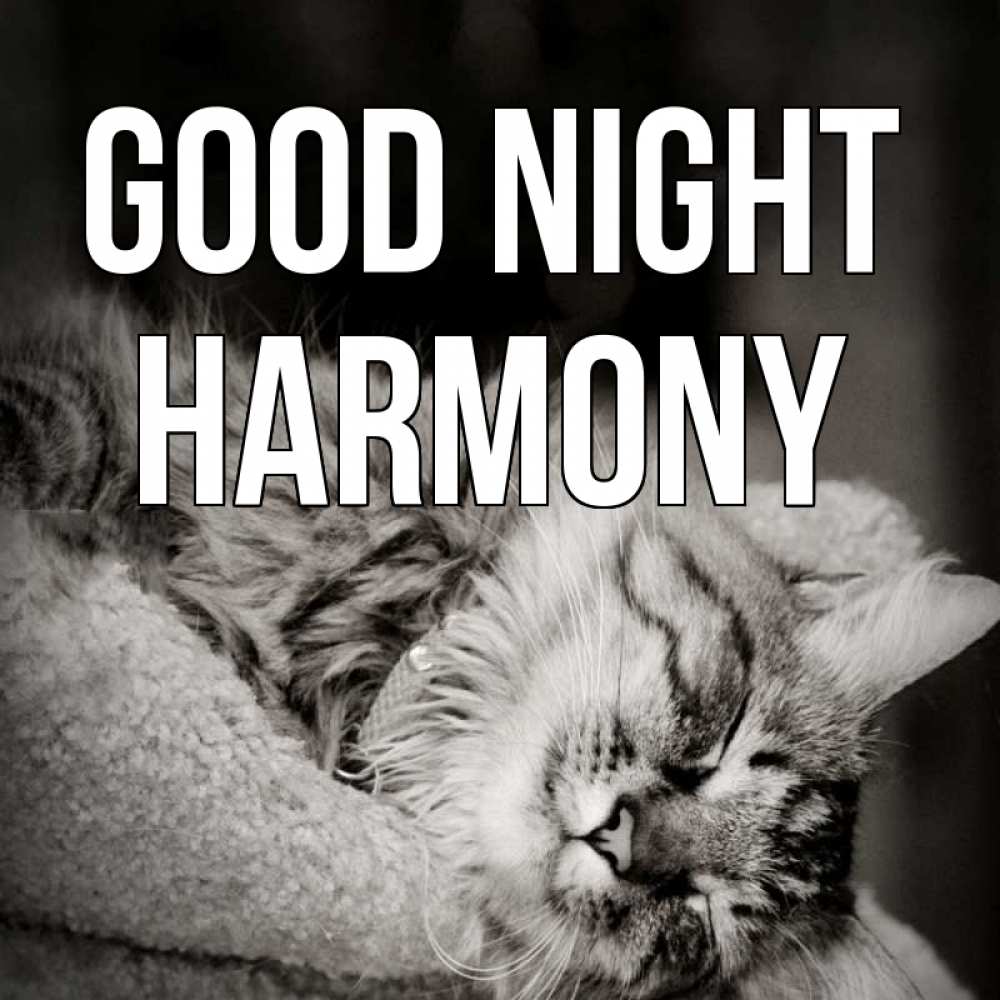 Greetings card с именем, Harmony Good night котярик пушистый Greetings with text for free download 