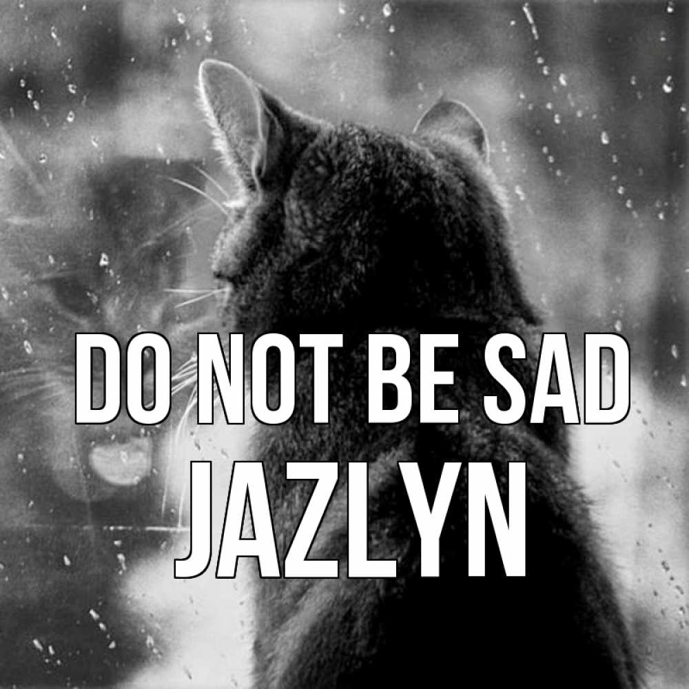 Greetings card с именем, Jazlyn Do not be sad отражение кота 1 Greetings with text for free download 