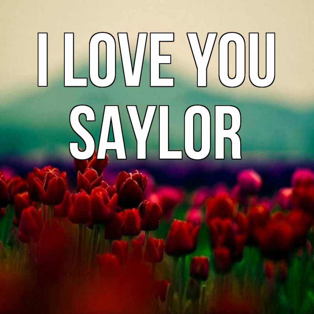 Greetings card с именем, Saylor I love you тюльпаны 4 Greetings with text for free download 