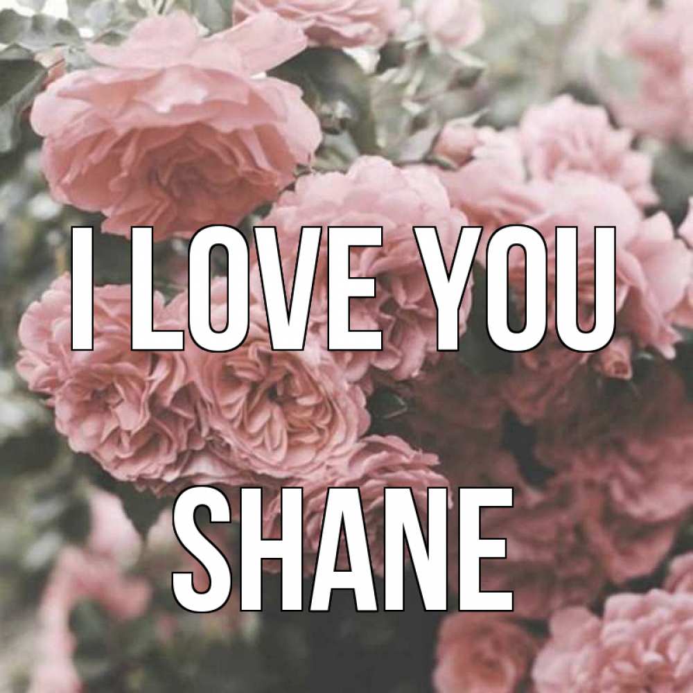 Greetings card с именем, Shane I love you розы 3 Greetings with text for free download 