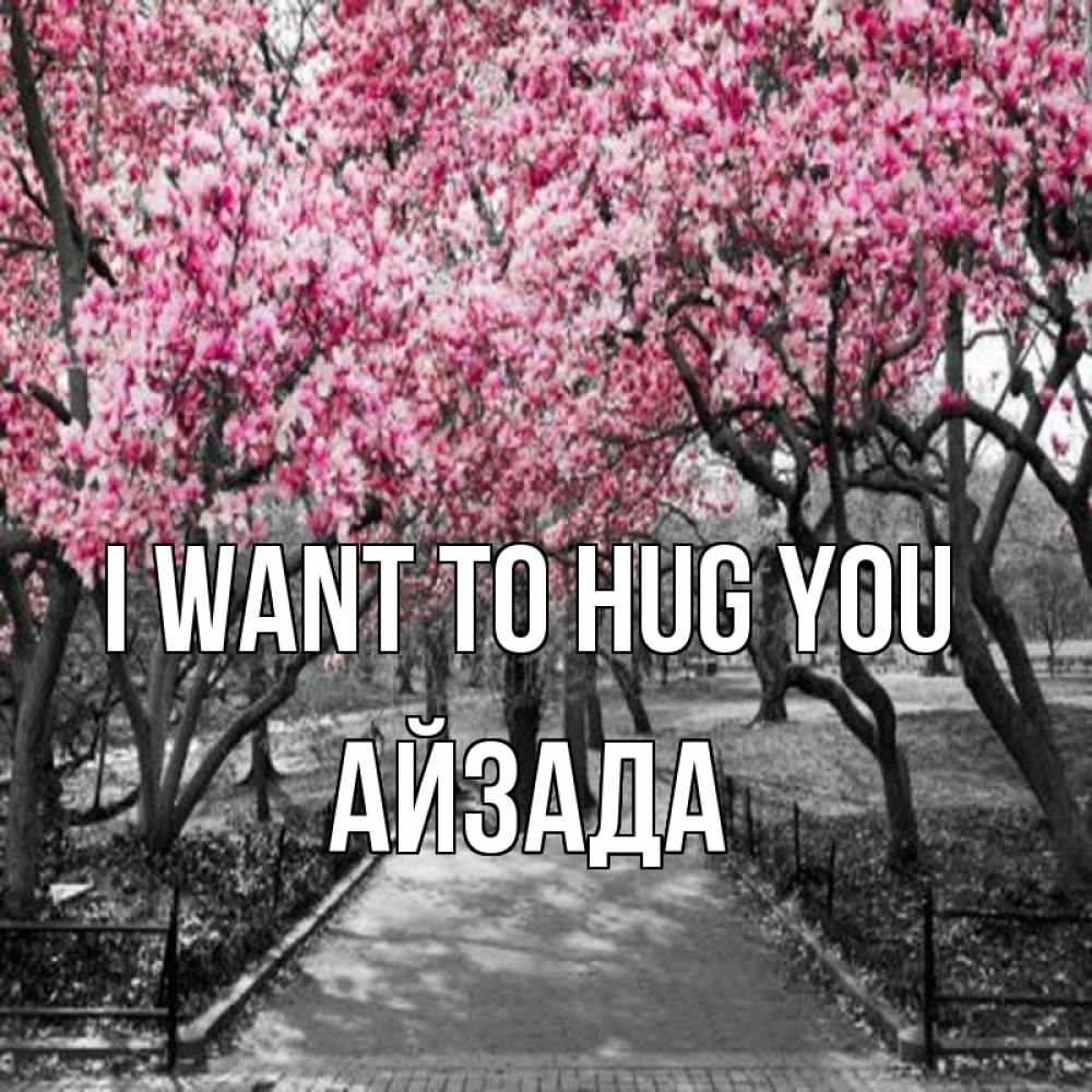 Greetings card с именем, АЙЗАДА I want to hug you обработанное фото Greetings with text for free download 
