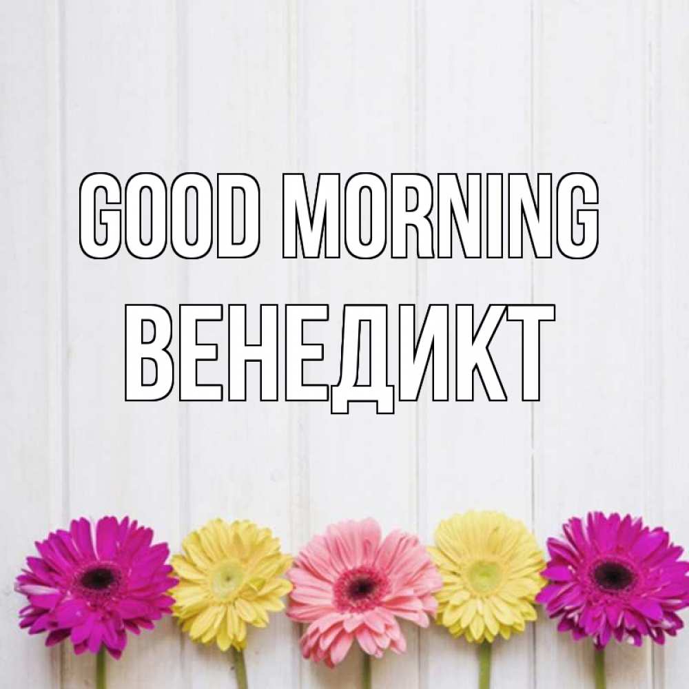 Greetings card с именем, Венедикт Good morning красный желтый и розовый цветок Greetings with text for free download 
