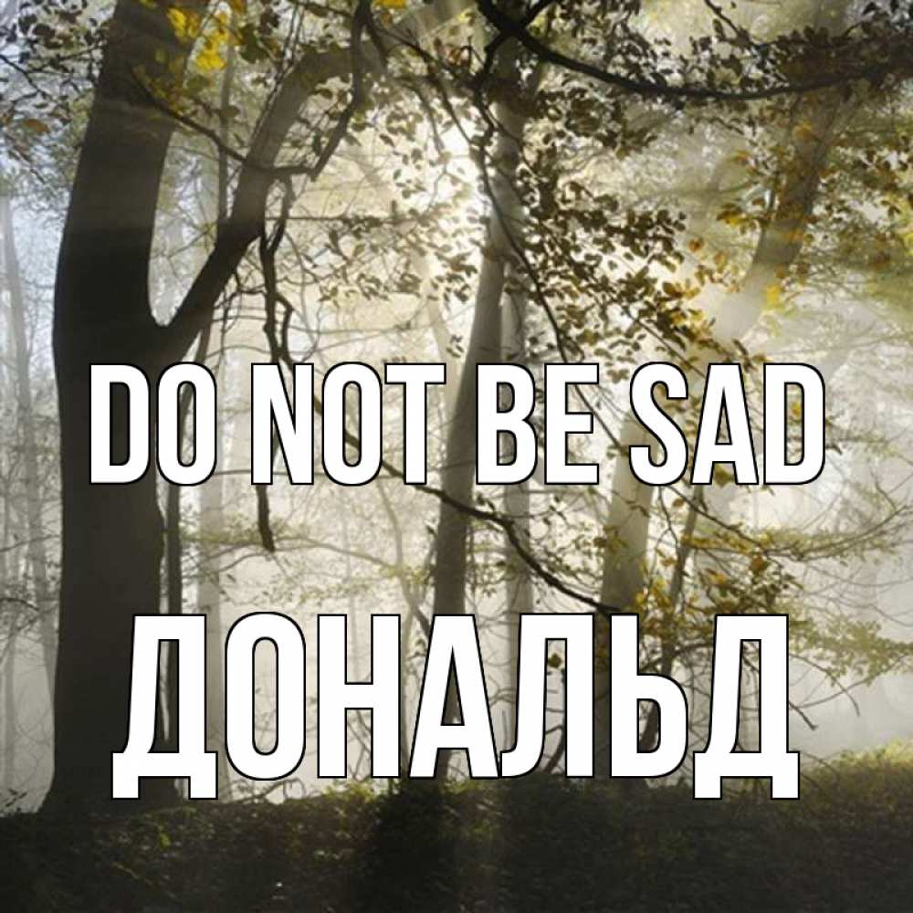 Greetings card с именем, Дональд Do not be sad лес и свет Greetings with text for free download 