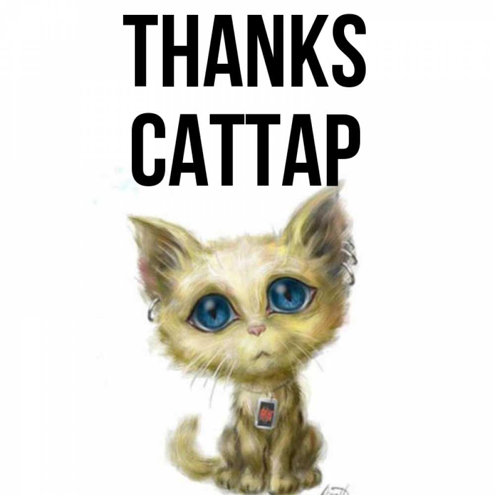 Greetings card с именем, САТТАР Thanks рисованный кот благодарит вас Greetings with text for free download 