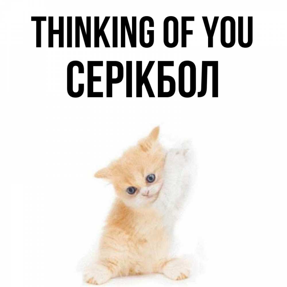 Greetings card с именем, СЕРІКБОЛ Thinking of you зверушки и милота Greetings with text for free download 