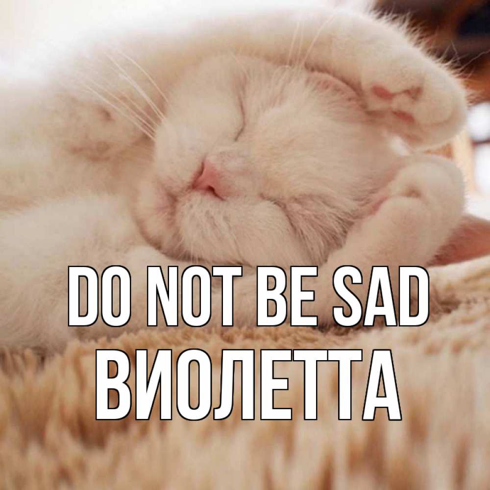 Greetings card с именем, Виолетта Do not be sad белый кот Greetings with text for free download 