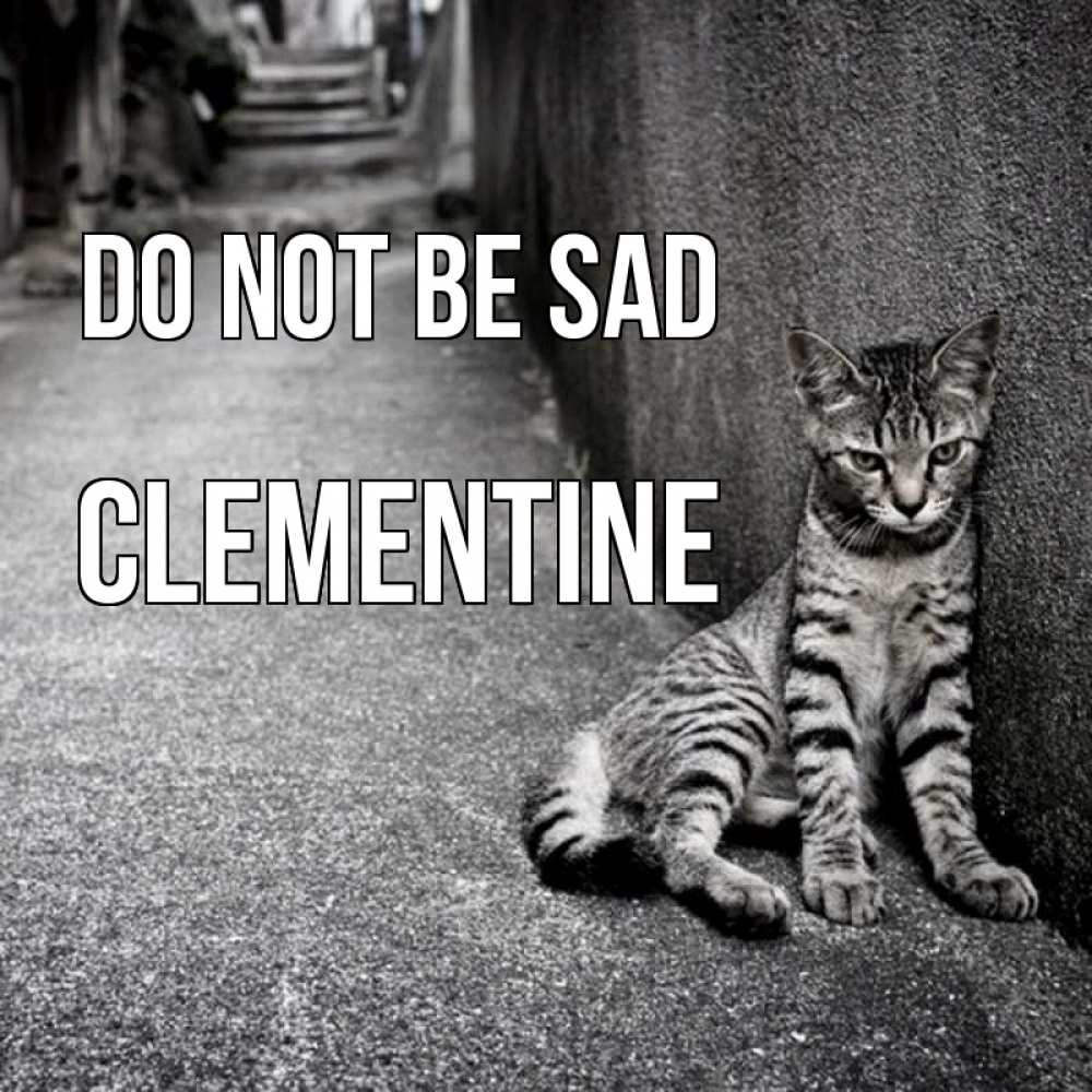 Greetings card с именем, Clementine Do not be sad скучающий котик Greetings with text for free download 