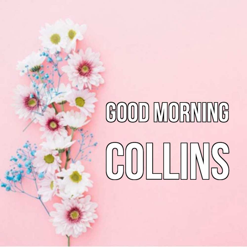 Greetings card с именем, Collins Good morning цветы с подписью Greetings with text for free download 